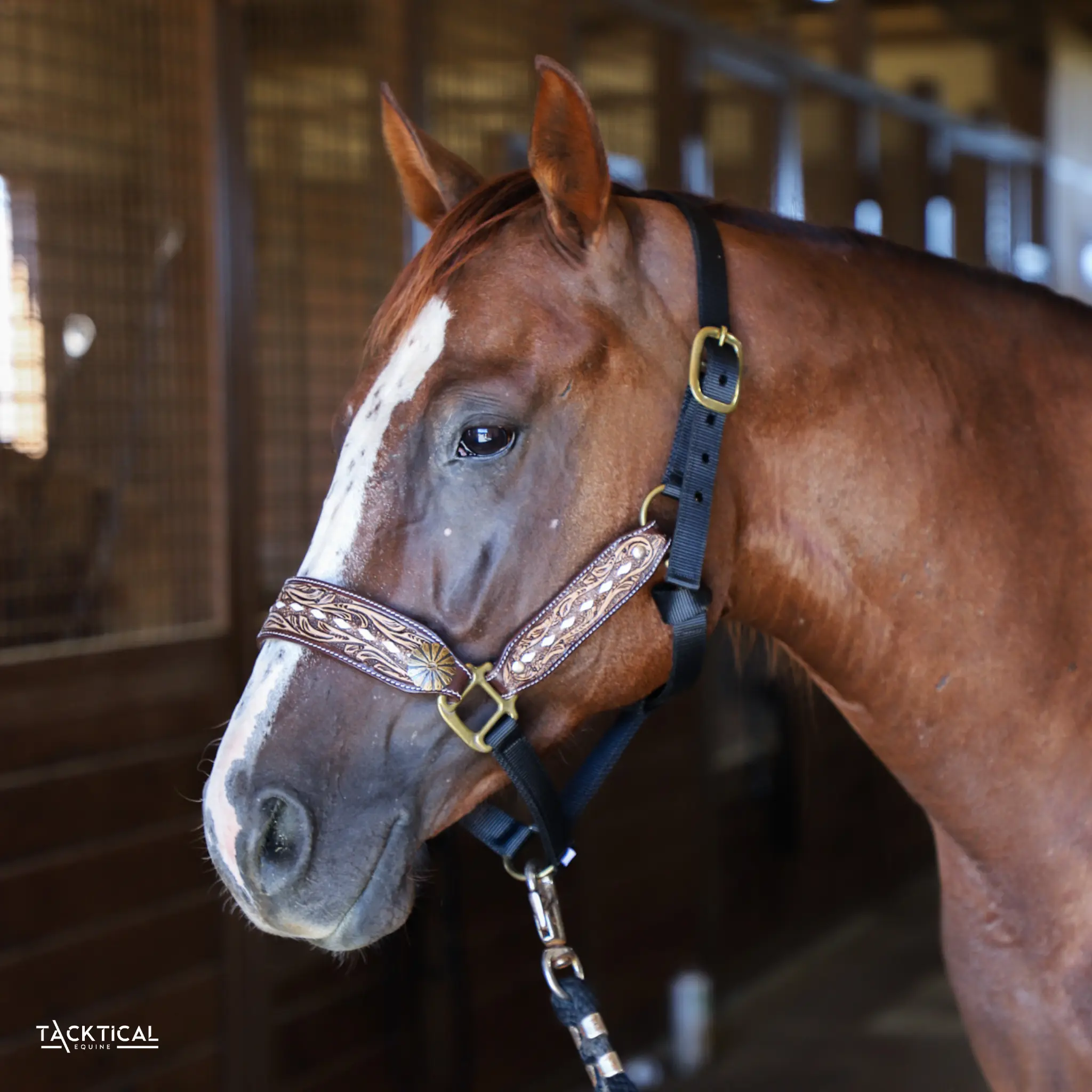 BLACK TOOLED LEATHER BRONC HALTER BY TACKTICAL