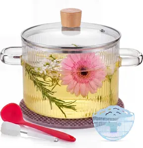 1.6L/54 oz Glass Simmer Pot for Stove with Lid and Strainer, Heat-Resistant Borosilicate Glass Pot for Cooking Soup, Pasta, Milk, Tea, Potpourri, Ideal for Stovetop Use (Clear)