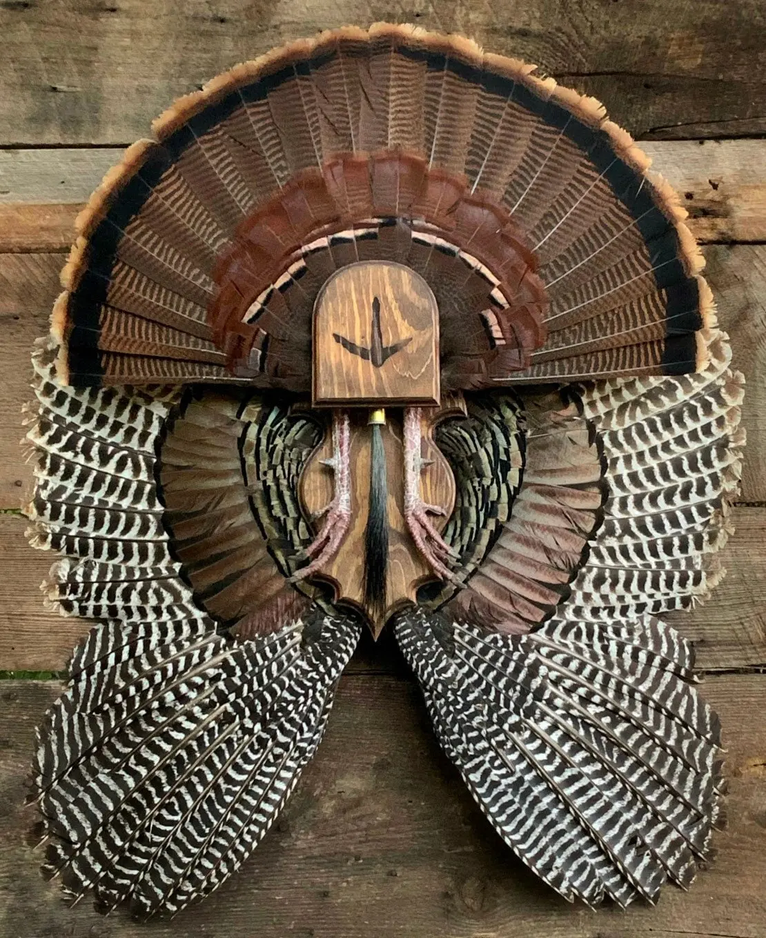 Fan and Wing Mount Plaque