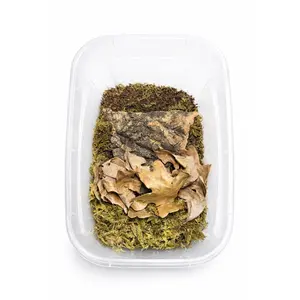 Isopod Starter Kit | Bioactive Habitat Bundle with Soil, Leaf Litter, Moss & Cork Bark