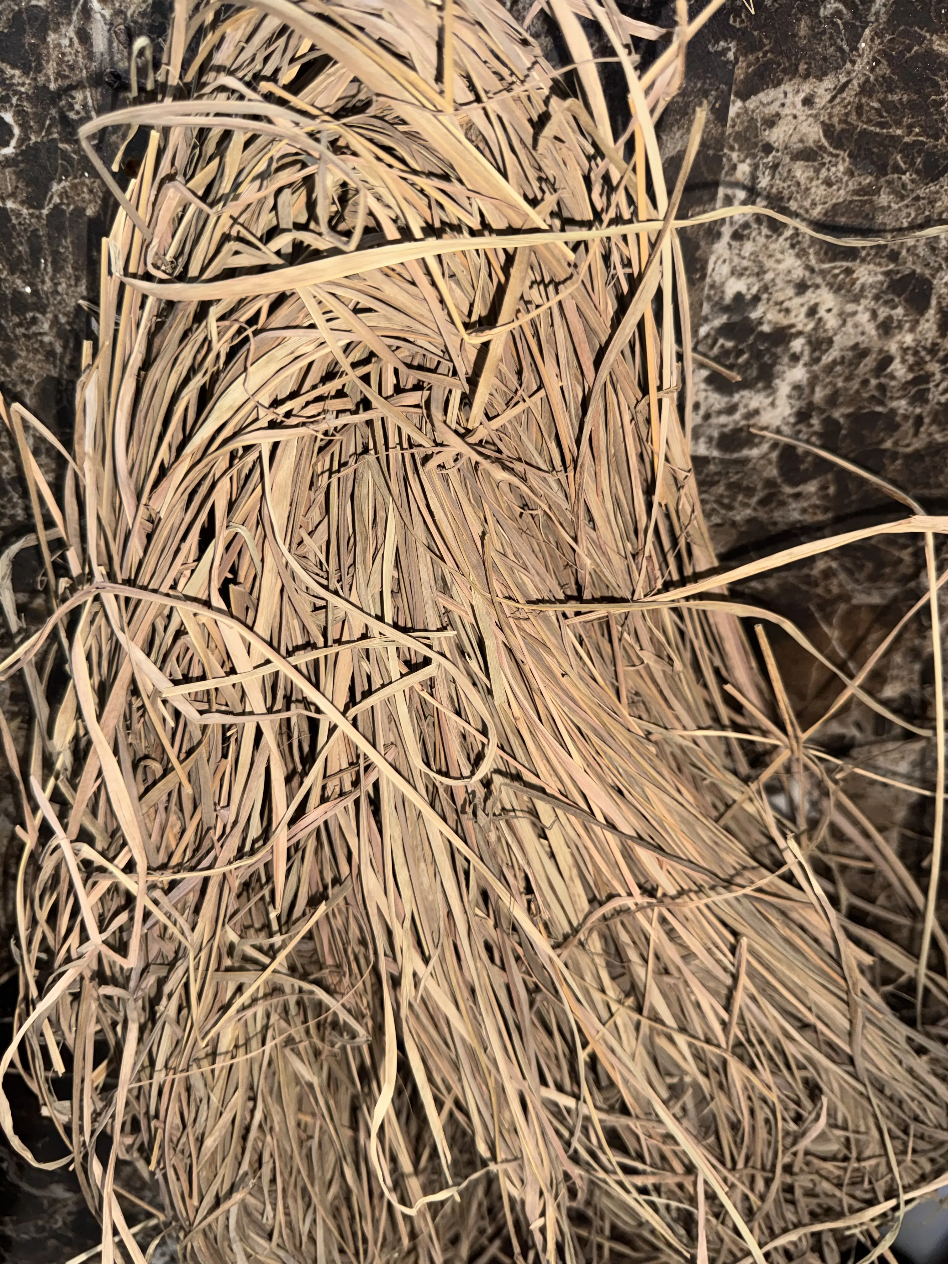 Dried lemongrass leaves ( citronelle sec)