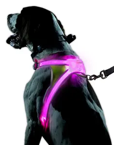 Noxgear LightHound – Revolutionary Illuminated and Reflective Harness for Dogs Including Multicolored LED Fiber Optics, USB Rechargeable, Adjustable, Lightweight, Rainproof