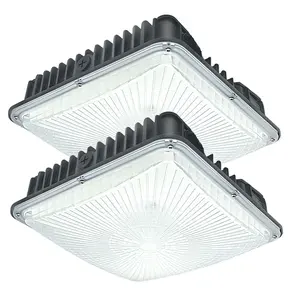 SEURON 70W Commercial LED Canopy Light Fixture 2 Pack 8400 Lumens 110V Input 300W HPS/HID Replacement for Gas Station Carport Warehouse Garage White high Bay Light ip 65