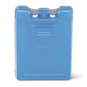 IGLOO Reusable Gel Freezer Block, Blue, Pack of 2, Compact Beverage Cooler Portable for Camping, Hiking