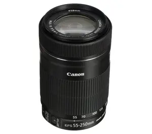 Canon EF-S 55-250mm F/4-5.6 IS STM Lens
