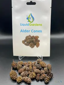 Liquid Gardens 25 count Organic Alder Cones For aquarium