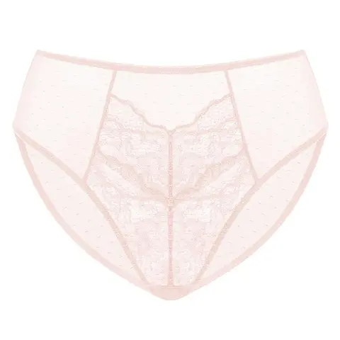 HSIA Floral Soft Lace Comfortable Mesh High-Rise Mid-Rise Bikini Brief Underwear