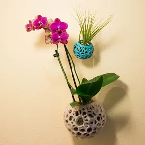 DIY Kokedama Orchid Pot, DIY Hanging Planter, Air Plant Holder, Moss Ball, Voronoi Hanging Planter, Orchid Moss Planter, Bonsai Pot