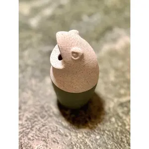 Frog Friend - Fly Catcher