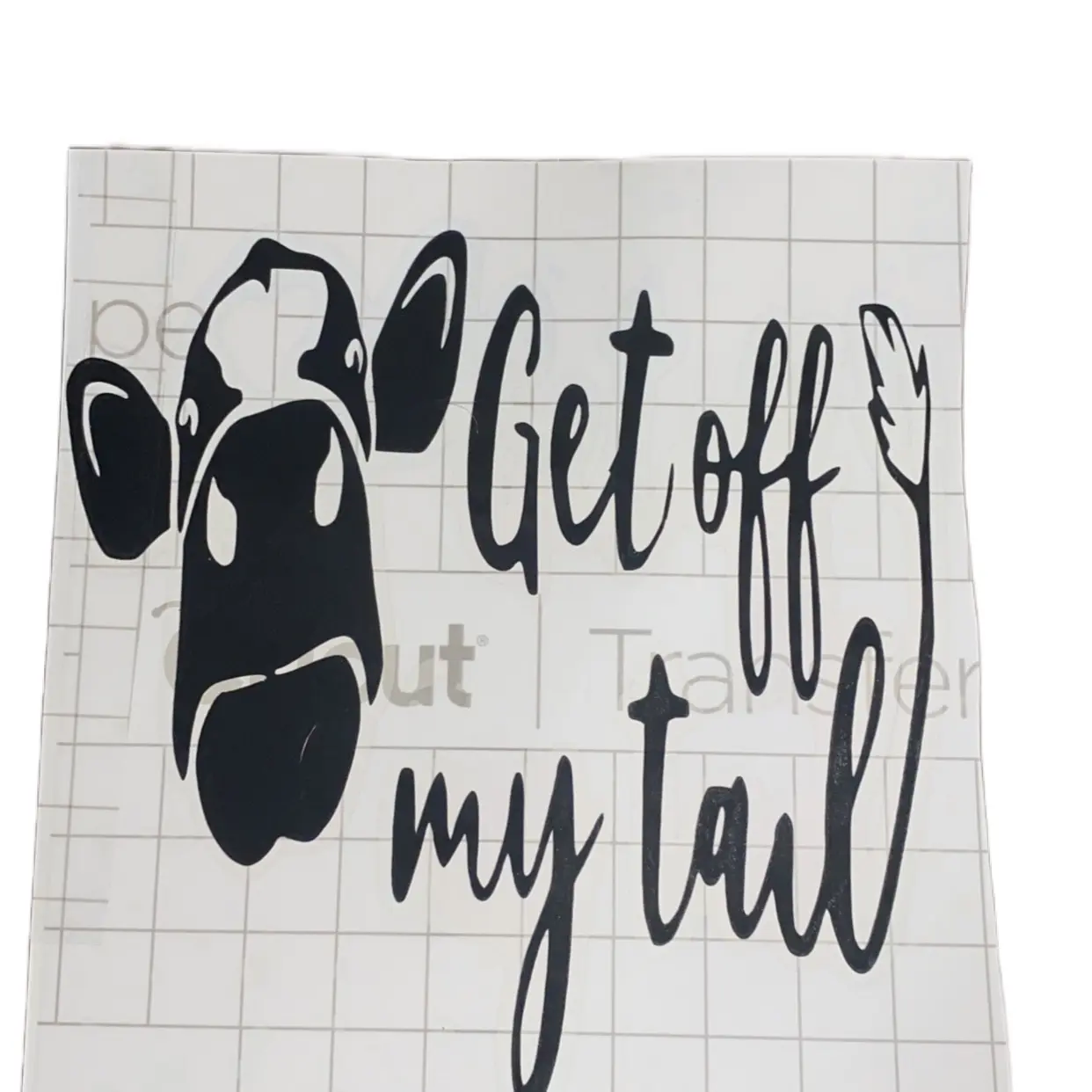 “get off my tail” cow car decal