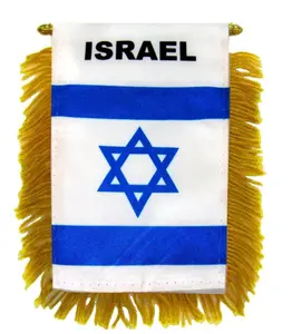 Israel Mini Banner with Double-Sided Plastic-Glass Hanger, Window Flags for Home Festive & Party Backdrop Display