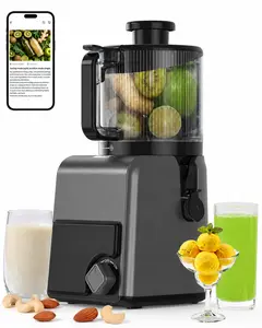 Masticating Juicer, 6.5-inch Extra-Large Feed Chute Cold Press Juicer machines, 3-in-1 Functionality (includes sorbet and nut milk making), BPA-Free, Easy to Clean and Dishwasher Safe, 100oz, Graphite Gray