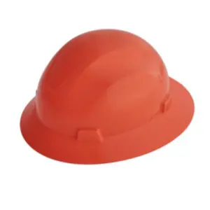 212 MAIN Non-Vented Advantage Full Brim Hard Hat, ANSI Approved Head Protection for Dogs & Cats, Hdpe Shell