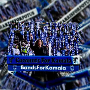 Kamala Harris Rubber Wristband one wristband, pick your choice, attractive, blue, and white bands her popular slogans  on the outside as well as the inside: Choose between coconuts for Kamala or we fight, we win we vote we win! Wrist expressions!