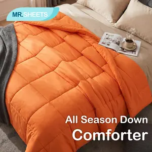 [Mother's Day Gift] NTBAY All Season Down Comforter – Lightweight Microfiber Duvet Insert with Corner Tabs, Soft Quilted & Easy Care