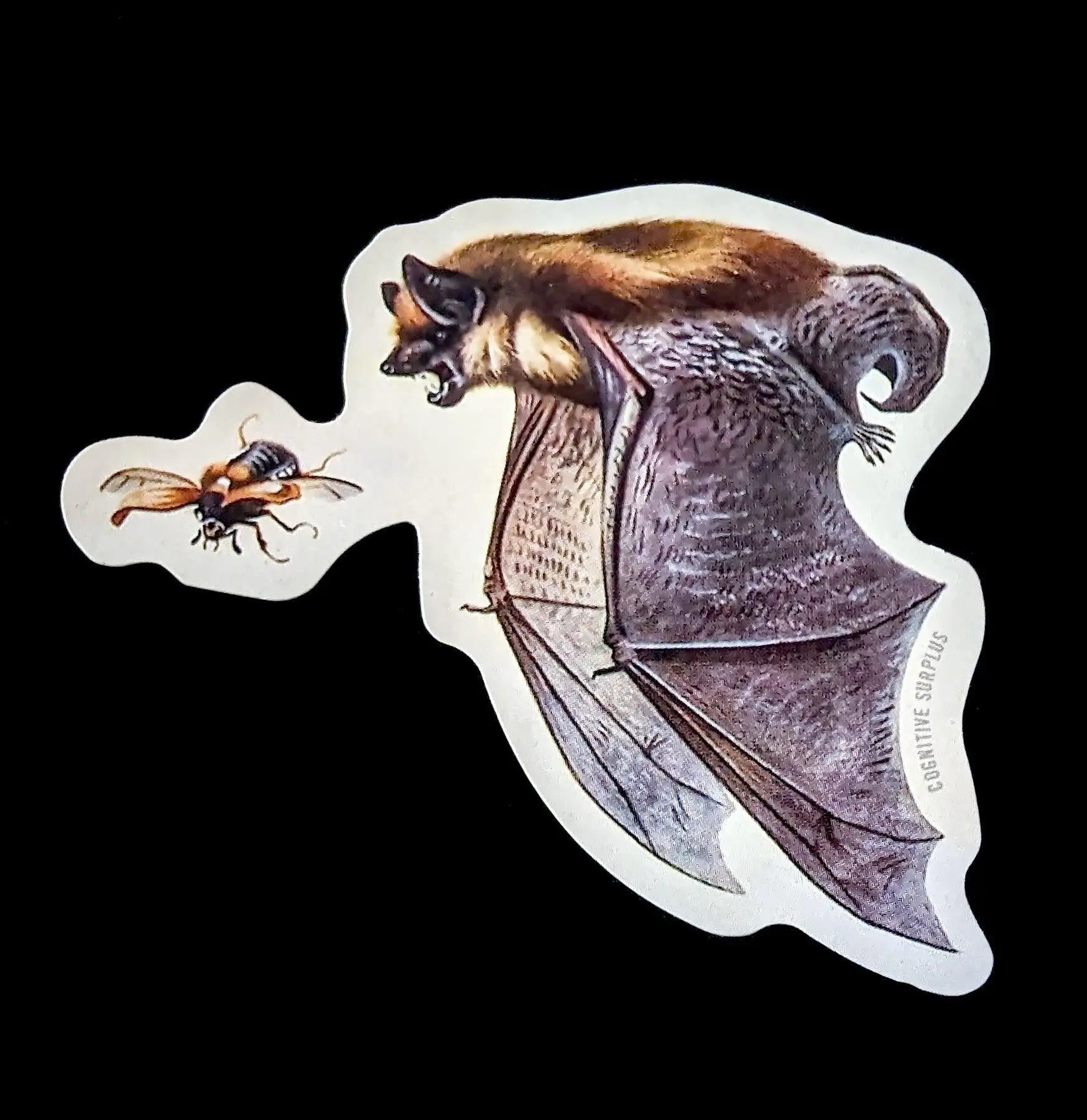 Hunting Bat Sticker