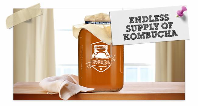 Big Momma Kombucha SCOBY - USDA Certified Organic Live Kombucha Starter Culture - 15 oz