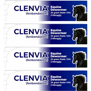 10% Horse Paste 4 Pack 25g Syringes Oral Deworming Paste for Horses of All Ages Easy-to-Administer Equine Care