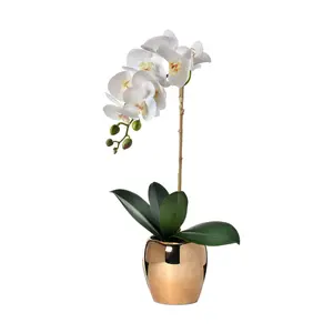 21" Phalaenopsis Orchid In Gold Pot by Valerie