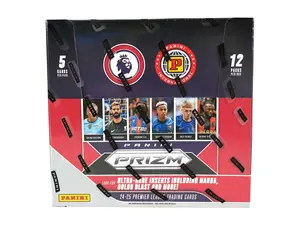X 1 (ONE) Single Pack 2024/25 Panini Prizm Premier League EPL Soccer International Hobby Pack