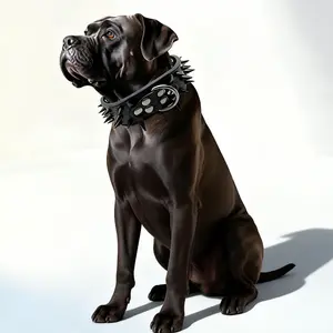 Anti bite rivet,Black Dog Collar Adjustable Leather Pet Collar for Medium & Large Dogs Cool Design with Metal D-Ring Fashionable Accessory dogaccessories