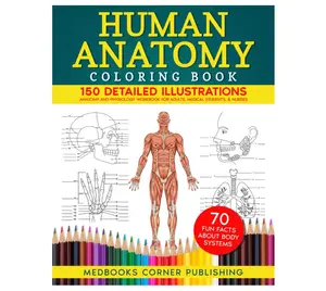 Human Anatomy Coloring Book: 150 Detailed Illustrations & 70 Fascinating Facts in an Anatomy and Physiology Workbook for Adults, Medical Students, & Nurses Focused on Advanced Body Systems Learning