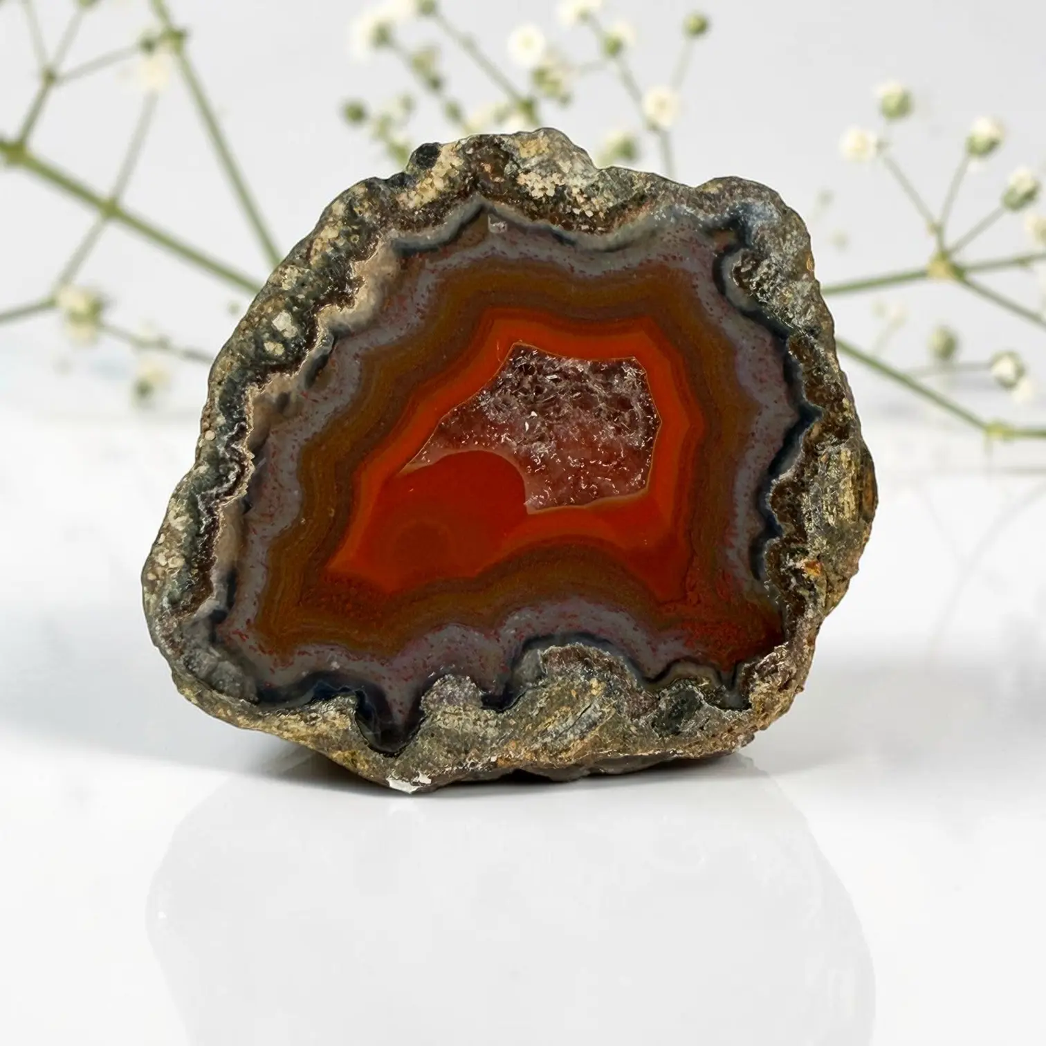 Laguna Agate from Mexico
