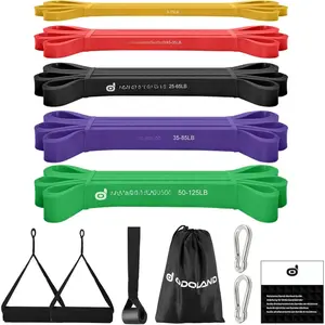 5 Packs Pull Up Assist Bands, Pull Up Straps, Resistance Bands with Door Anchor and Handles, Stretch Mobility, Powerlifting and Extra Durable Exercise Bands with eGuide