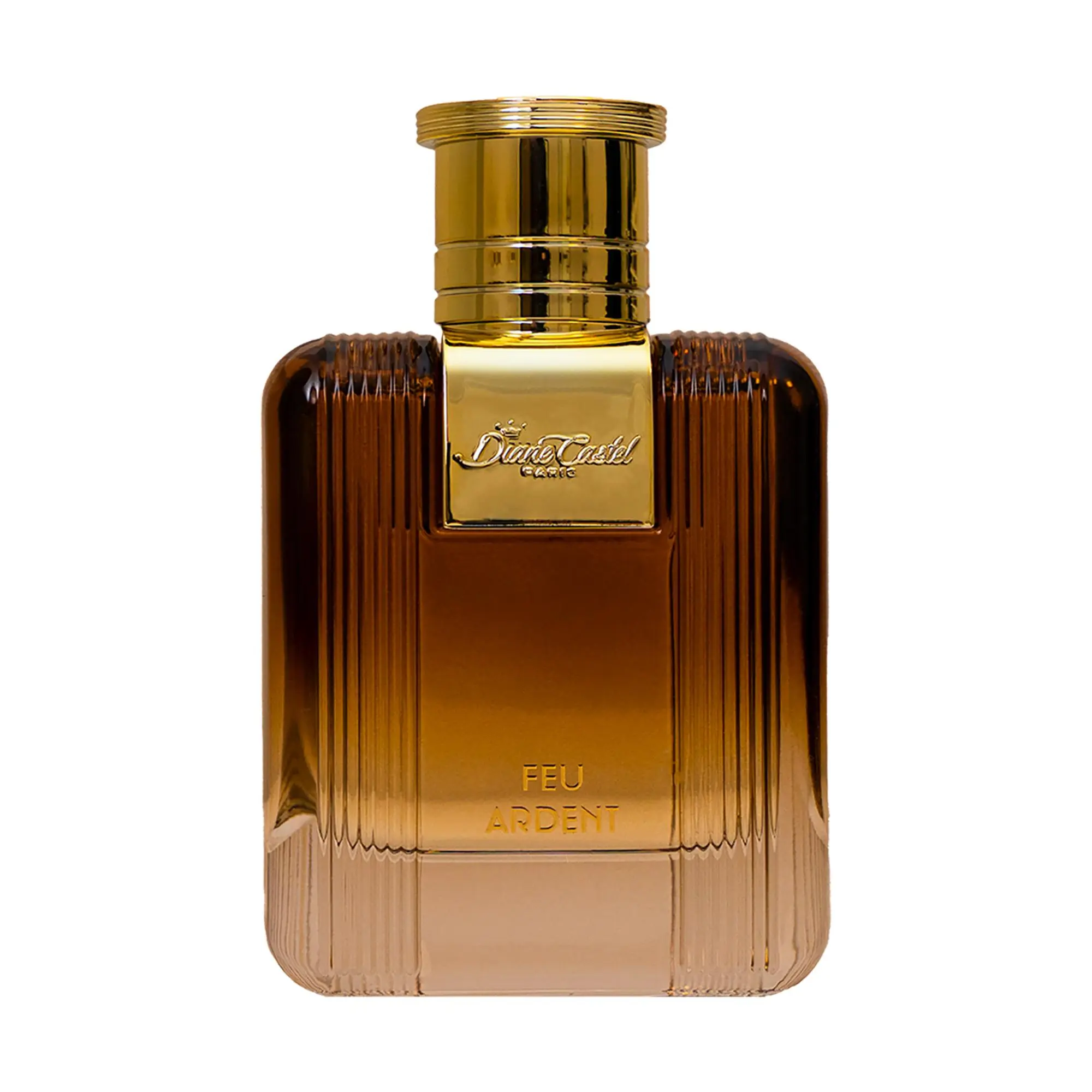 Diane Castel Feu Ardent - Woody Amber Fragrance - Enchanting Perfume for Women and Men - Opens with Green Notes and Resins - 3.3 oz