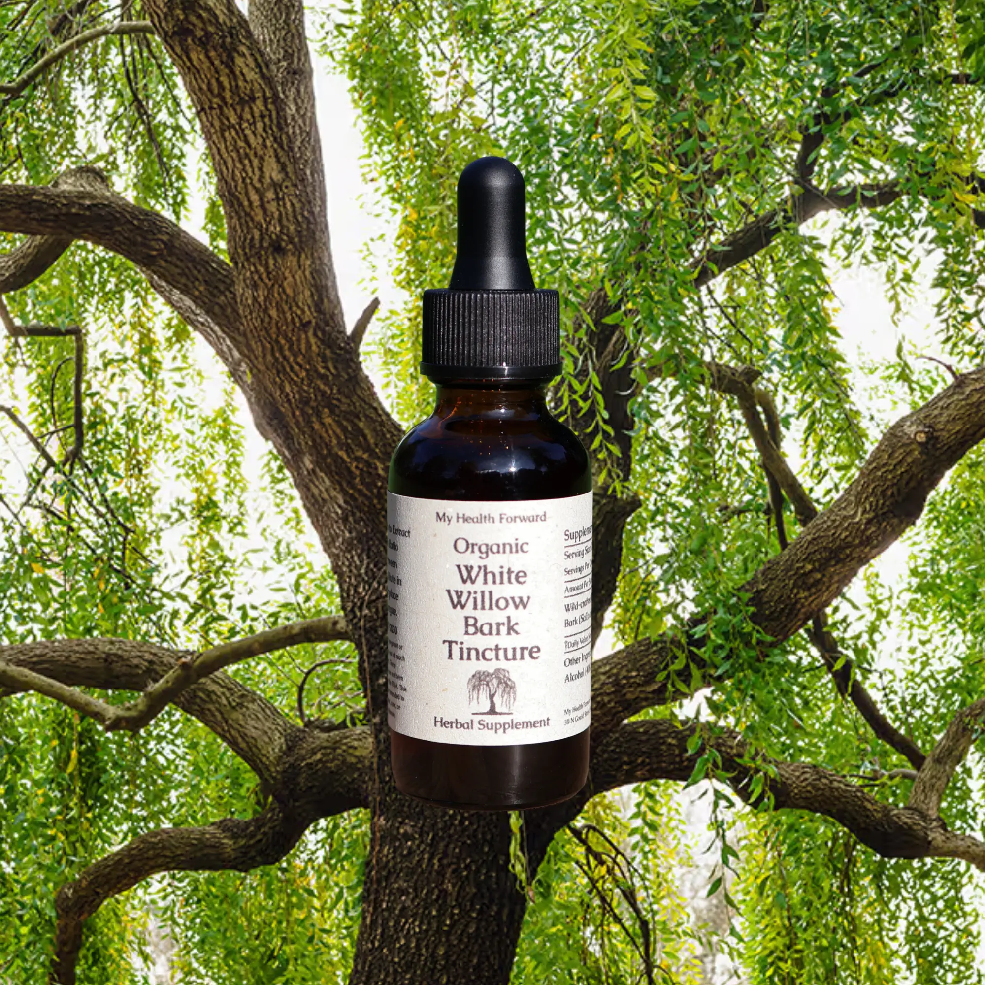 Organic White Willow Bark Tincture - Herbs for Pain Relief