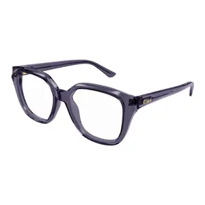 Pre-owned CHLOÉ CH0293O 004 EYEGLASSES