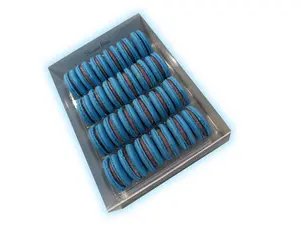 Blueberry Macarons Cookies Gift Box - 24 Count with Exquisite French Meringue-like Exterior & Creamy Fillings for Special Occasions