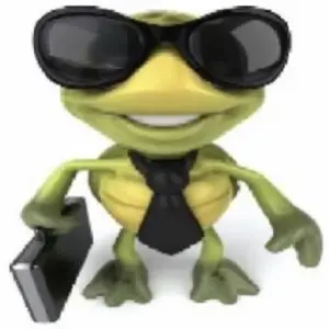 review image 4