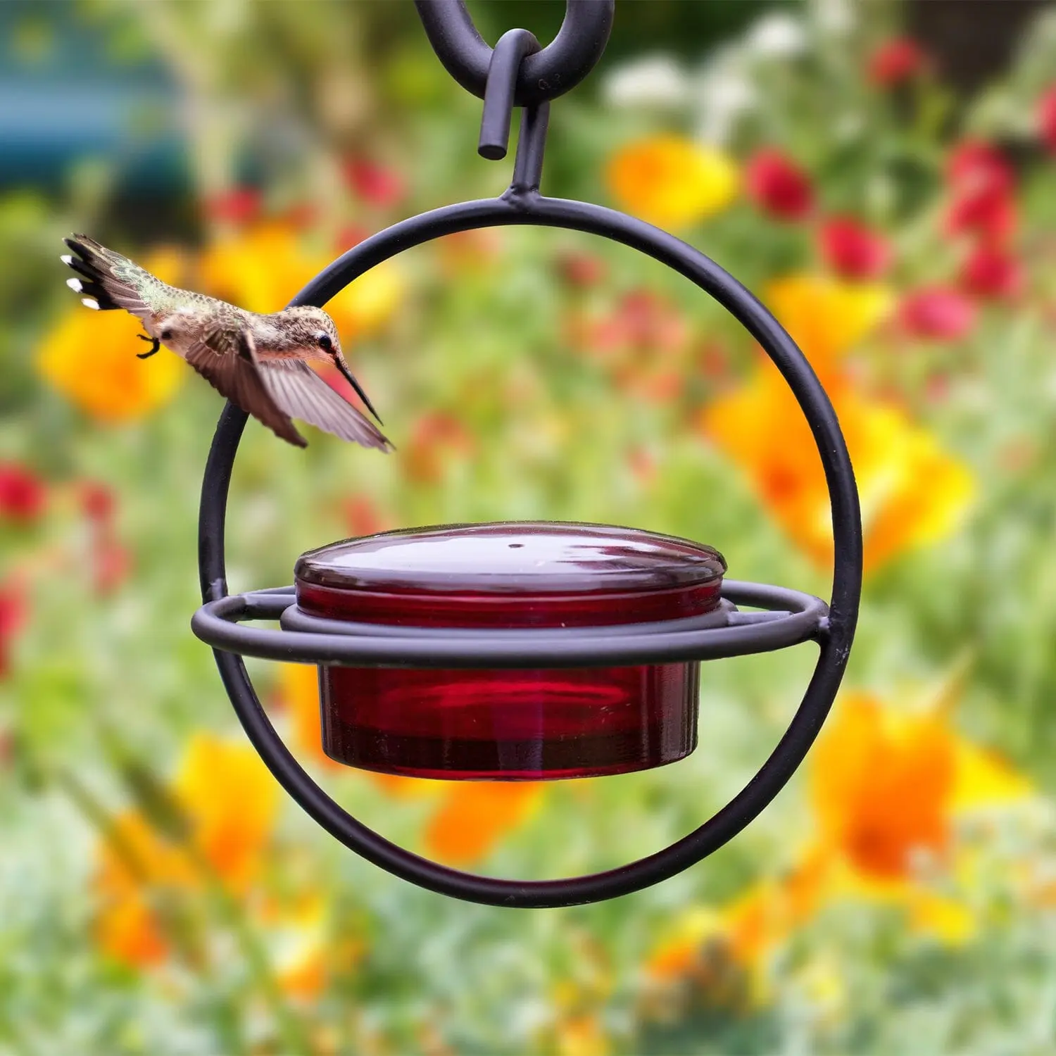 Metal Circular Hanging Hummingbird Feeder with Red Tinted Glass Bowl and Lid