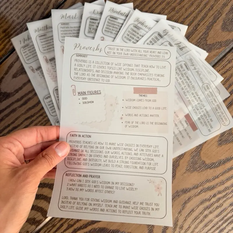 NEUTRAL 66 Bible Chapter Summaries Tip-In Inserts