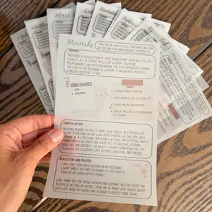 NEUTRAL 66 Bible Chapter Summaries Tip-In Inserts