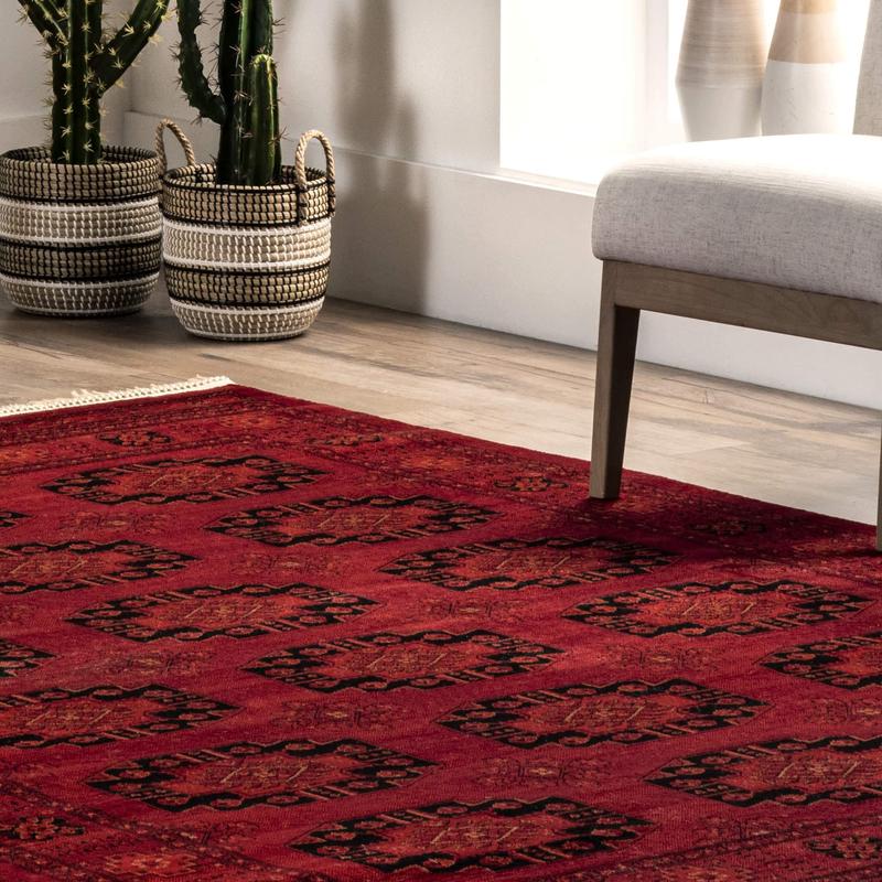 Diandra Traditional Persian Motif Fringe Area Rug