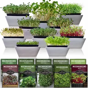 Microgreens 10 Variety Seed Kit Nutritious Sprouting Seeds for Indoor Gardening Including Arugula Broccoli & Kale Ideal for Survival Nutrition