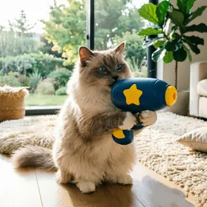 Cat Interactive Flying Disc Launcher Toy - 1 Gun + 5 Saucers + 1 Light-Up Spinning Top