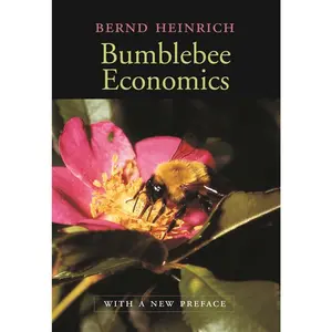 USED-Bumblebee Economics: With a New Preface by Heinrich, Bernd (Paperback)