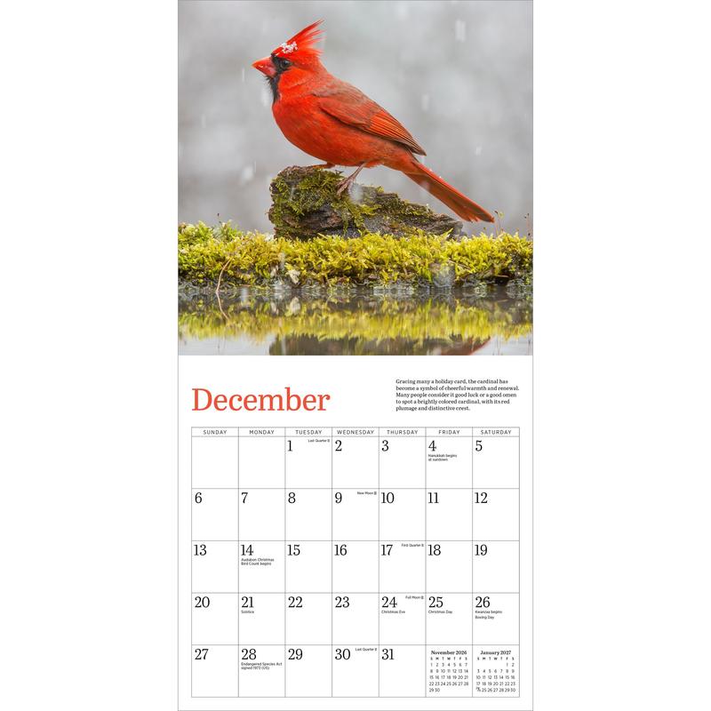 Audubon Cardinals Mini Wall Calendar 2026