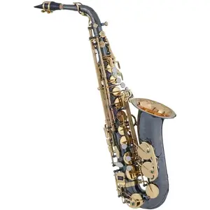 STRICH Eb Alto Saxophone Brass Student Beginner Alto Sax Kit with Hard Case Stand Neck Strap Mouthpiece and Reeds for School Band Home Practice, SSA-31B, Black