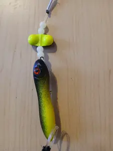 catfish rigs catfish rigs