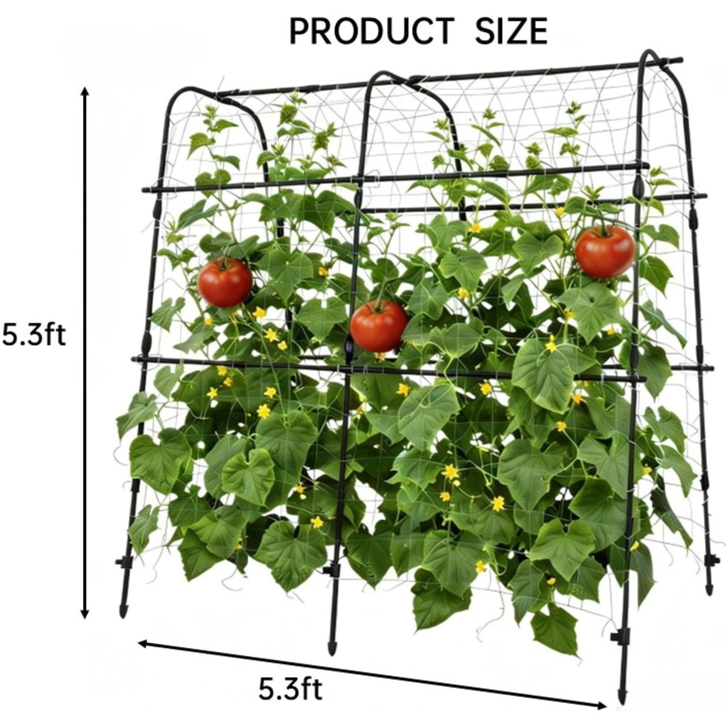 Garden Arch Trellis for Raised Beds, Plant Support for Cucumbers, Melons, Grapes, Roses & Climbing Vegetables, Outdoor Rust-Resistant Trellis for Vertical Growing