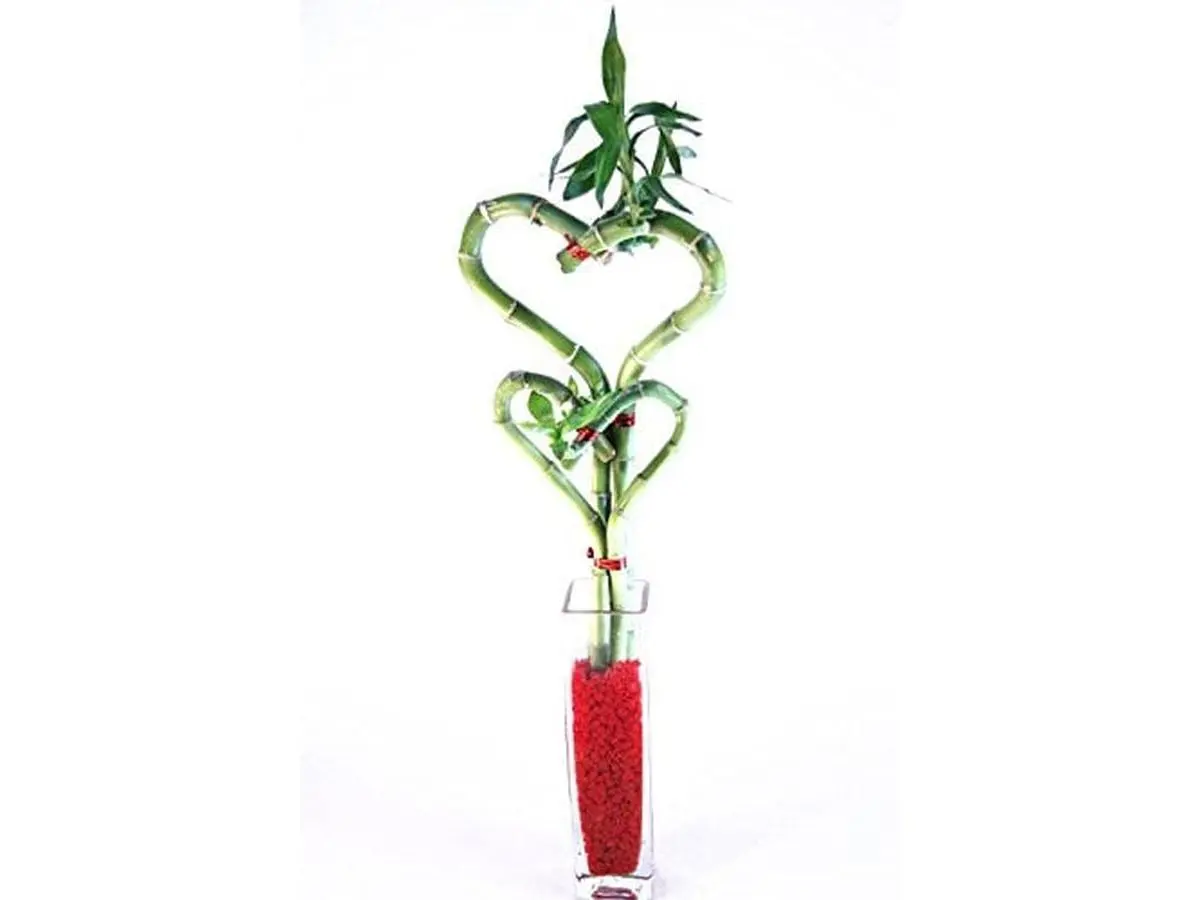 Tall Heart Shape Double Heart Bamboo-Glass Block Bud Vase, Decorative Sculpture for Room Decor
