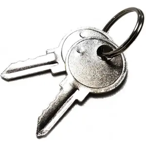 2 Pack Replacement Keys for Most Time Clocks, Fits Multiple Popular Models HN1000 HN2000 HN3000 HN4000 FN1000 ATR480 AT-4500 AT-2700 400E 2500 2650Pro 3800 4500PP