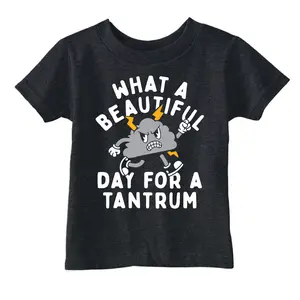 Toddler Funny T Shirts What A Beautiful Day for A Tantrum Sarcastic Graphic Novelty Tee for Young Kids Funny Toddler Shirts Funny mental health Apparel Childrens Graphic Tees Black