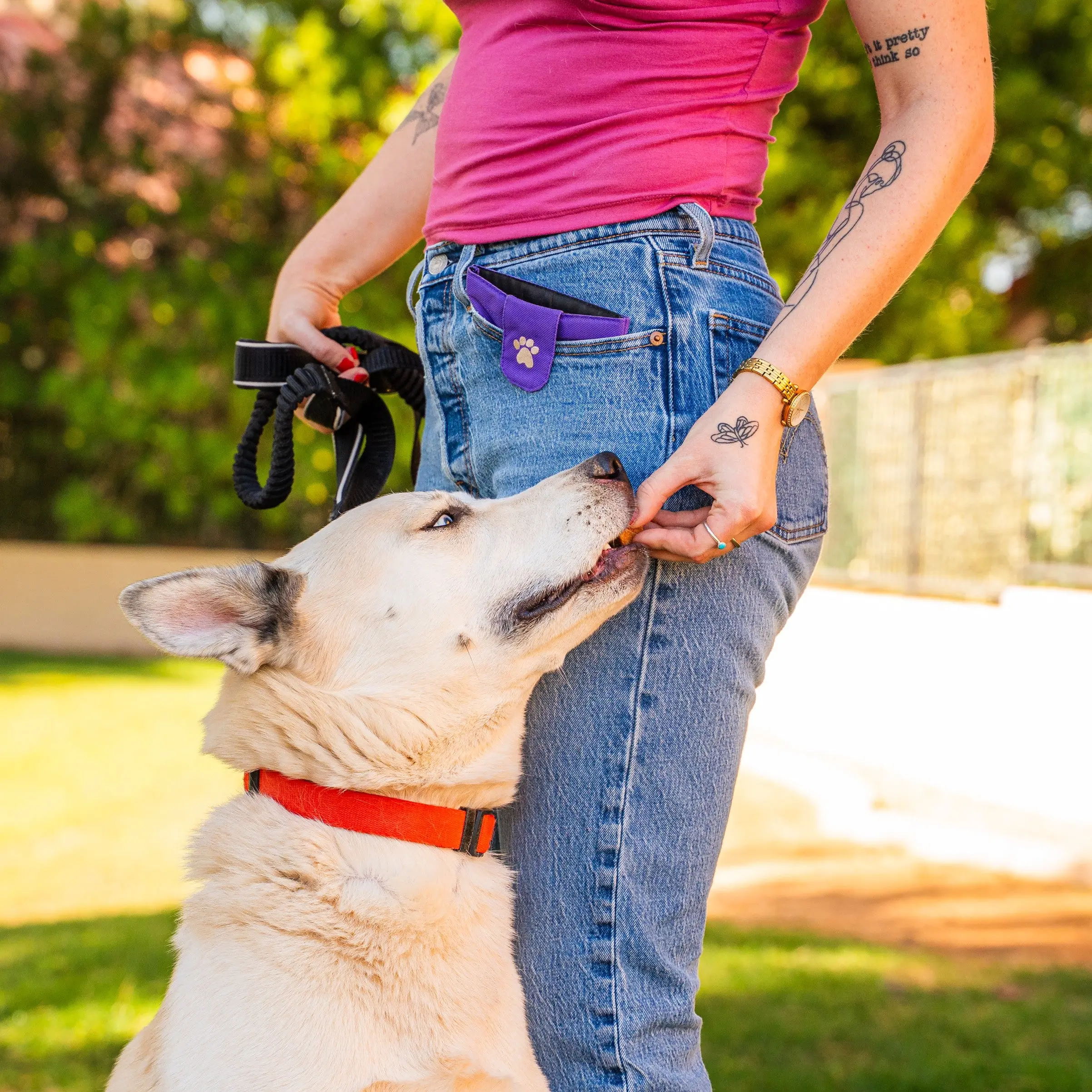Dog Pocket Treat Pouch