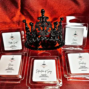 Luxury Mini Wax Melt Sample Bundle Room Freshener Aroma Fragrance small business premium candle Scented Soy