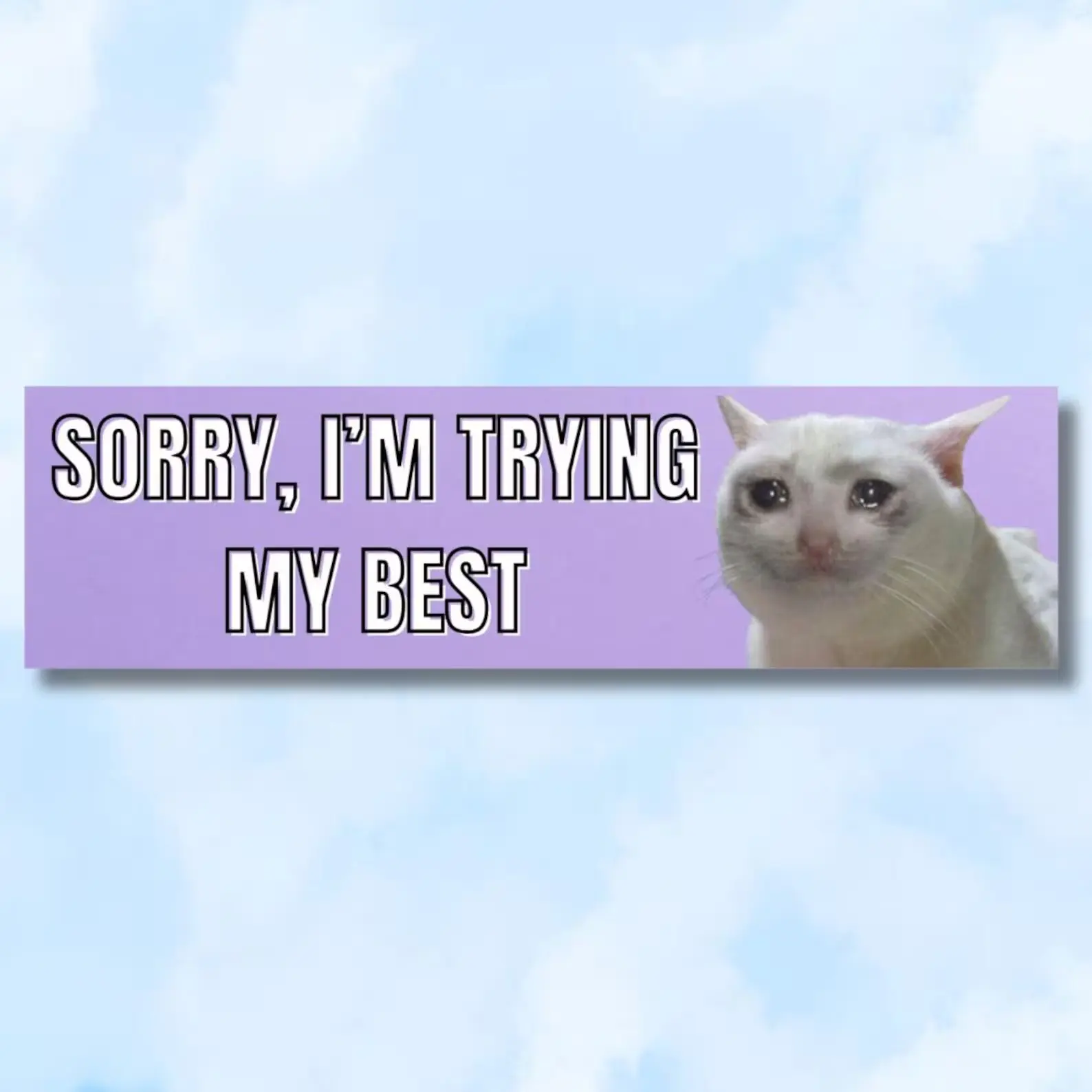 Sorry, i'm trying my best, cat meme, Funny bumper magnet, gifts, decal, logo for car